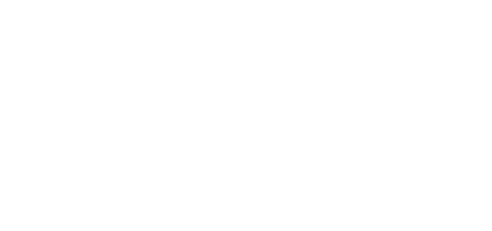 Fortis Inkasso